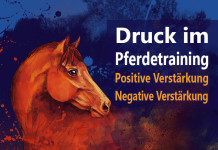 Druck Pferdetraining positive negative Verstärkung