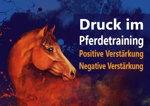 Druck Pferdetraining positive negative Verstärkung