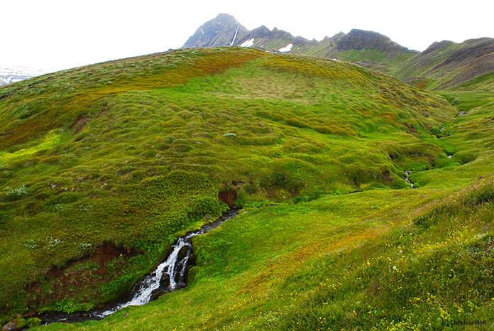 Grüne, buckelige Hügel, durchzogen von einem schmalen Bach. Im Vordergrund ist ein kleiner Wasserfall, im Hintergrund ein Berg mit kleinen Schneeflecken.