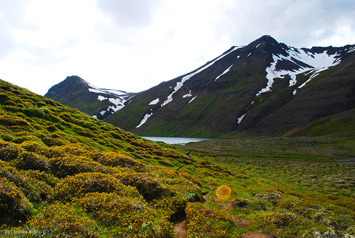 Ein schmaler Pfad windet sich durch grüne Hügel bewachsen mit isländischem Moos. Man sieht einen kleinen Zipfel des Sees und die Berge dahinter.