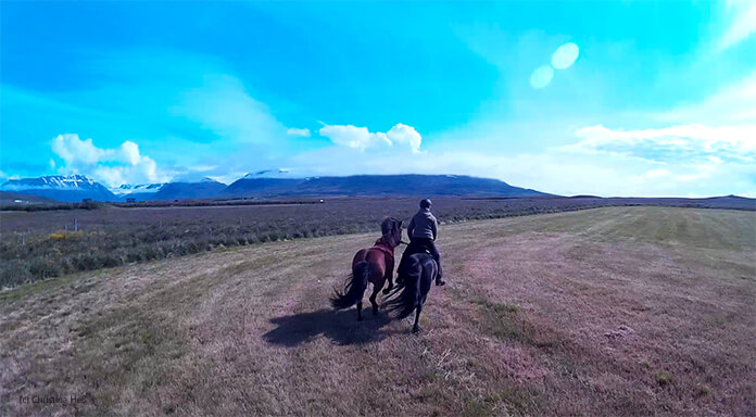 Ein Bild von Christinas Helmkamera: man sieht Hlín auf ihrem Pony und mit ihrem Handpferd in schnellem Galopp auf einer gemähten Wiese. Im Hintergrund sind die hohen Berge.