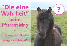 Wahrheit Pferdetraining