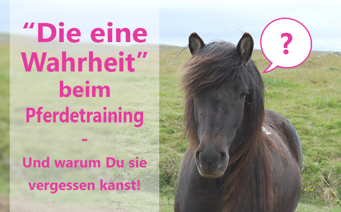 Wahrheit Pferdetraining Wahrheit Pferdetraining