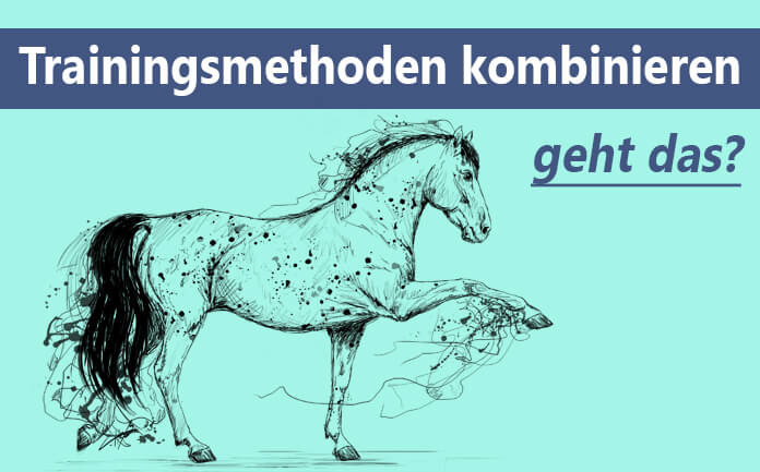 Trainingsmethoden kombinieren Trainingsmethoden kombinieren - geht das?