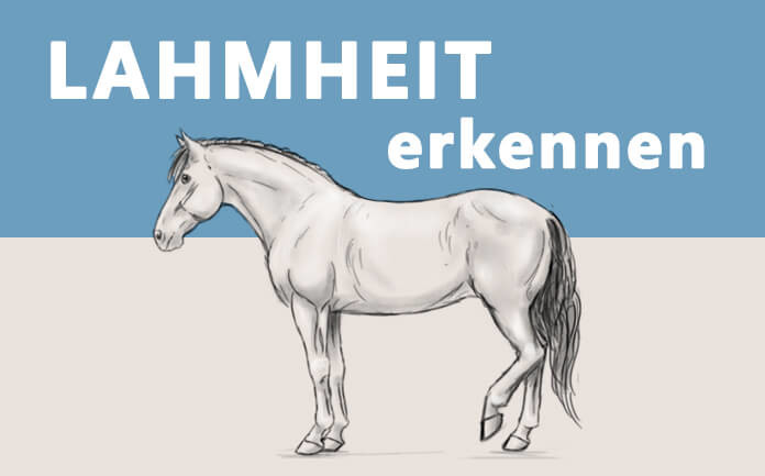 Zeichnung eines Pferdes, das eines seiner Hinterbeine entlastet