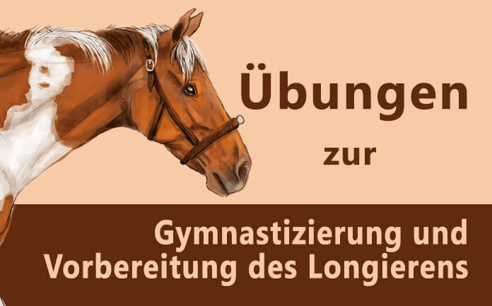 Übungen Kappzaum Bodenarbeit