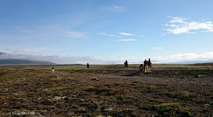 6 Reiter auf Islandpferden in der weiten, isländischen Vulkanlandschaft