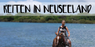 Bild von Christina auf einem Pferd im Meer mit der Überschrift "Reiten in Neuseeland"