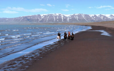 Reiturlaub in Island: begleite mich einen Tag im Land der Islandpferde