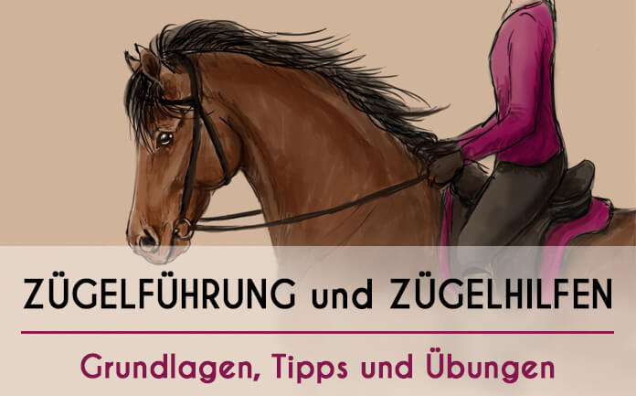 Bild eines gezeichneten Pferdes mit Reiter mit Überschrift: "Zügelführung und Zügelhilfen - Grundlagen, Tipps und Übungen"