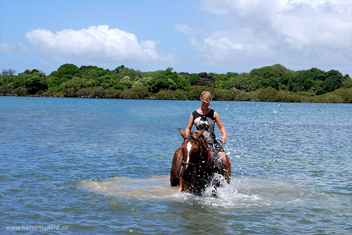 Reiterin und Pferd schwimmen im Meer