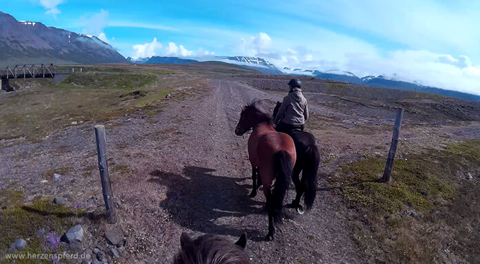 Reiterin mit Handpferd auf der Ebene im Skagafjord, im Hintergrund sieht man das Hochland