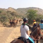 Kamele Reiturlaub Indien