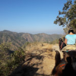 Kumbalgarh Nationalpark Indien Reiturlaub