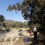 Reiturlaub Kumbalgarh Nationalpark