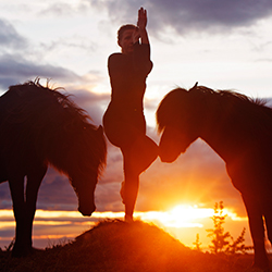 Eine Frau, die eine Yogaübung durchführt. Rechts und links von ihr steht je ein Islandpferd, im Hintergrund geht die Sonne unter.