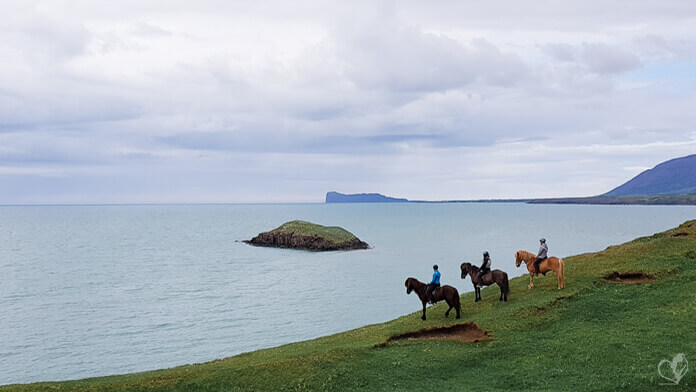 Drei Reiter auf ihren Islandpferden stehen nebeneinander am Rand der Klippen, vor ihnen das weite Meer.