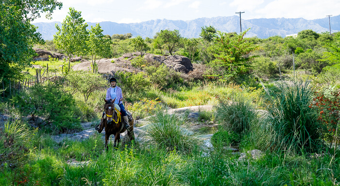 Eine Reiterin bahnt sich ihren Weg durch viele kleine Bäche zwischen hohem Gras und Felsbrocken.