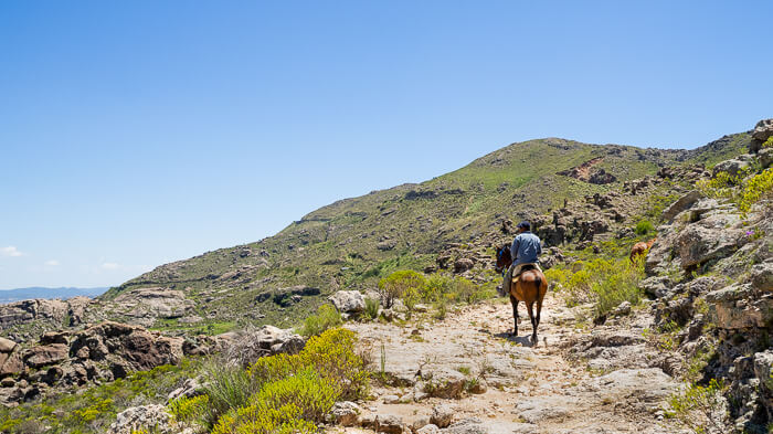 Ein Reiter sucht sich seinen Weg auf einem steinigen Pfad hinauf in die Berge. Links von ihm geben die Berge den Blick ins Tal frei.