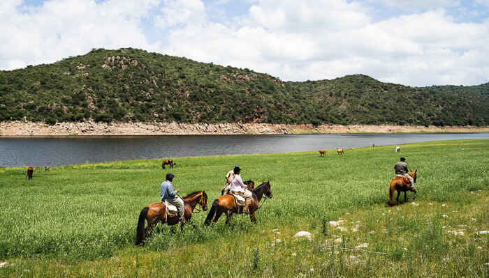 Eine Gruppe Reiter auf einer weitläufigen Wiese am Ufer eines großen Sees, im Hintergrund sind frei grasende Pferde.