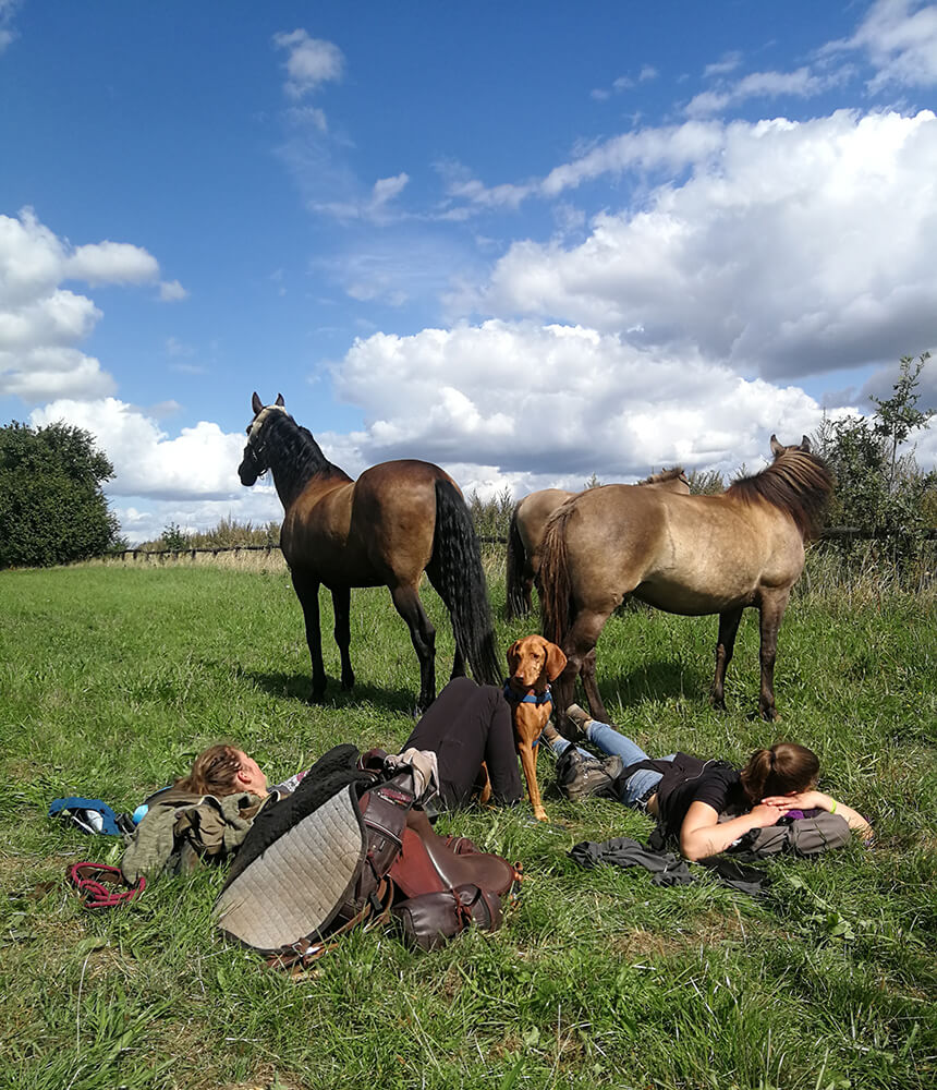 Simone und ihre Freundin laufen mit ihren drei Pferden auf einem sonnigen Weg.