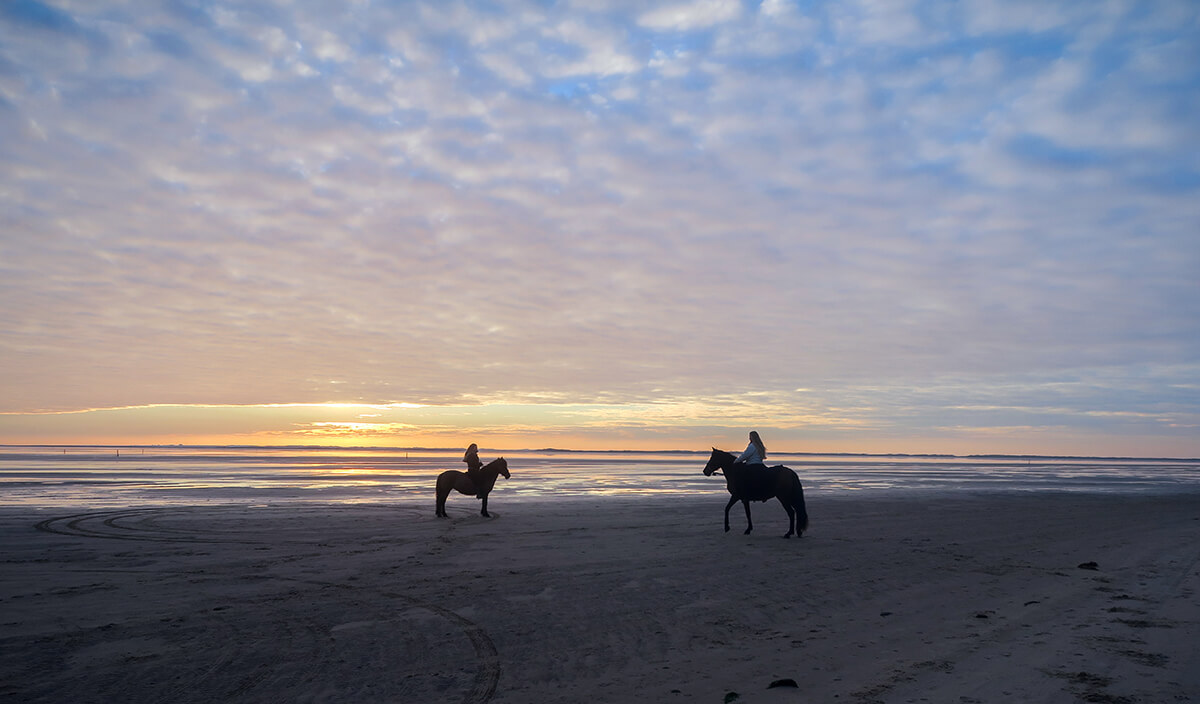 Simone und ihre Freundin laufen mit ihren drei Pferden auf einem sonnigen Weg.