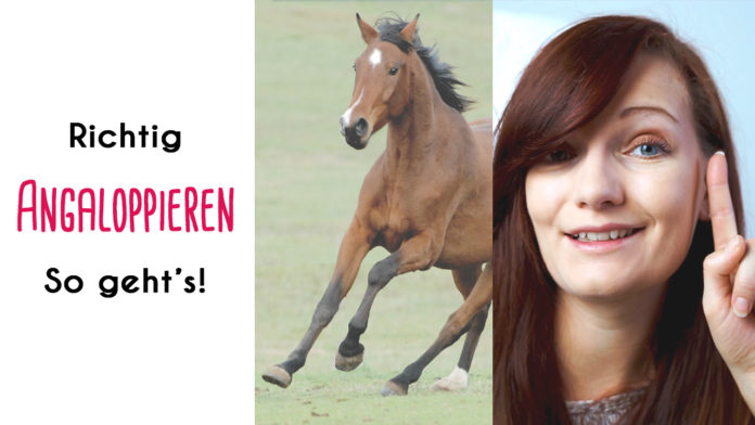 Custom-Thumb-Galopp