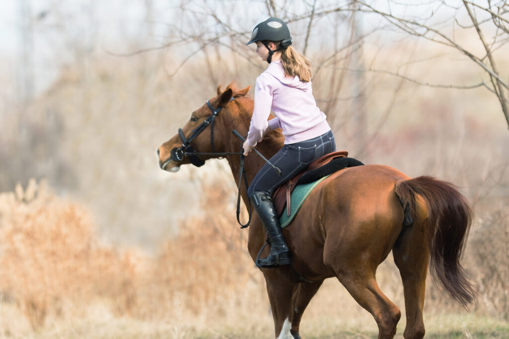 Pullendes Pferd: Das kannst Du tun, wenn Dein Pferd sich auf den Zügel