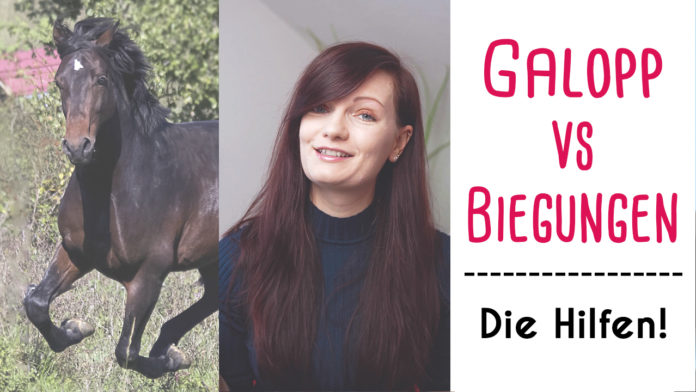 Galopp-vs-Biegungen-Hilfen