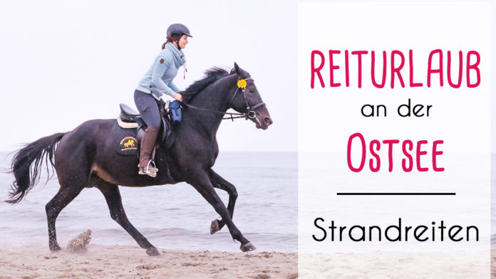 Reiten-Strand-Ostsee