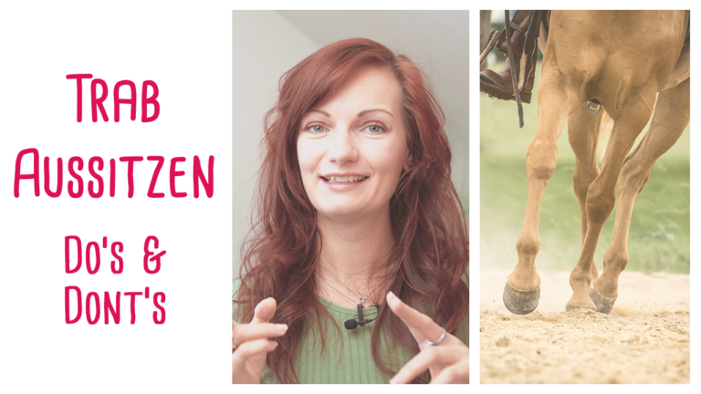 Trab Aussitzen 10 Do S Und Dont S Video Herzenspferd