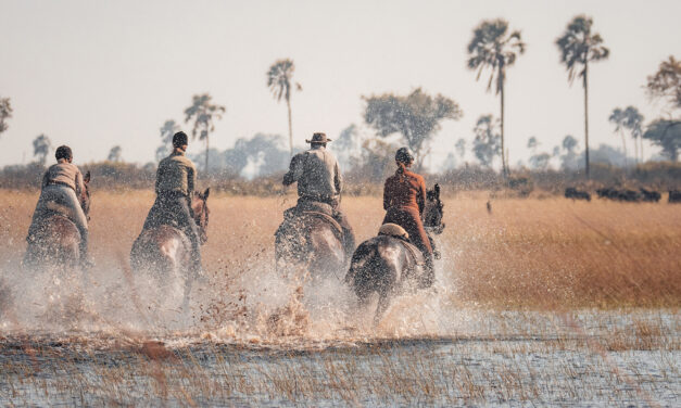 Reitsafari im Okavango Delta: Galoppaden durchs Wasser, Palmen und die Big 5