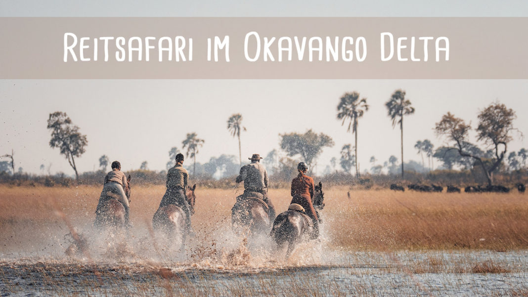 Reitsafari-header